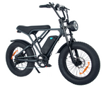 EBICI FAT 3000