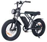 EBICI FAT 3000