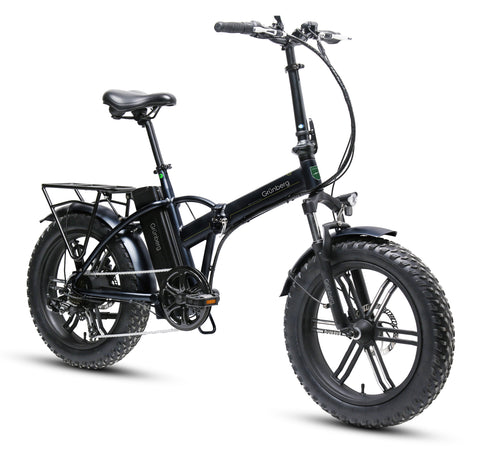 Ebici Fat-Bike Grünberg