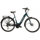 BICICLETA ELÉCTRICA THOMPSON - ALTEA - BOSCH ACTIVE PLUS LINE